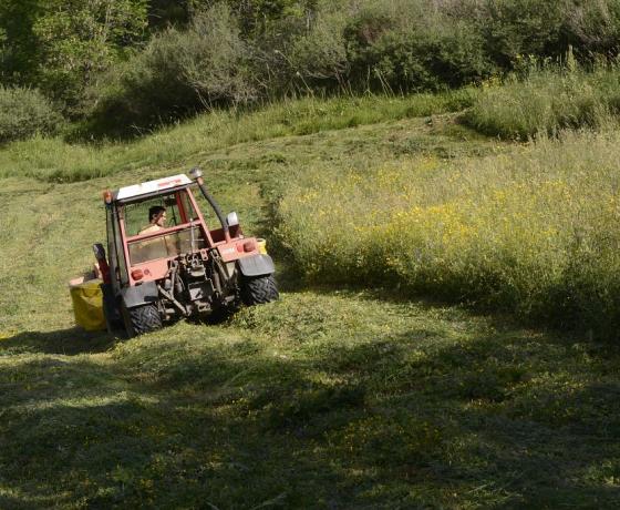 Fauche prairie Les Marches